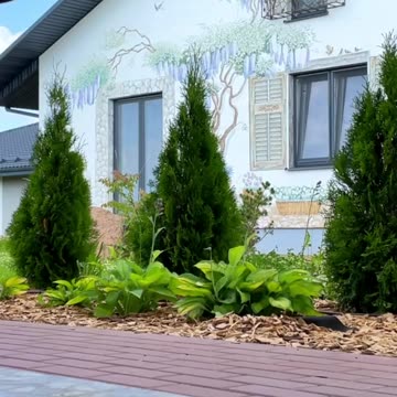 Going out into nature to cook kebabs remains the main attributes of summer leisure from year to year