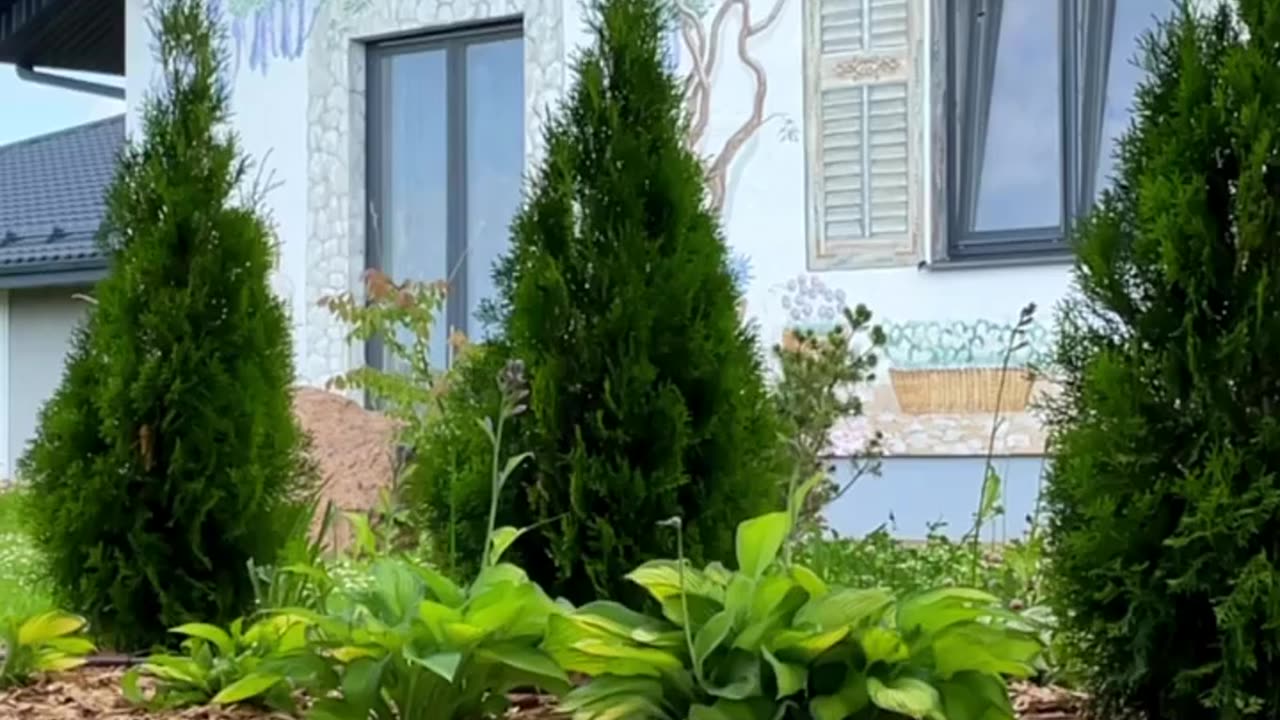 Going out into nature to cook kebabs remains the main attributes of summer leisure from year to year