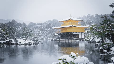 Japan natural beautiful home 2025 [8k] resolution video