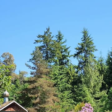 The Day is Almost Here