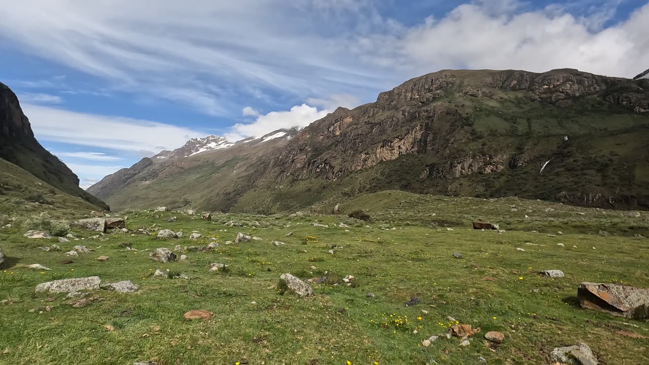 Vacas en el Paraiso