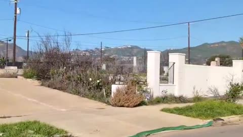 As we approach the one-year anniversary, Palisades residents still need help