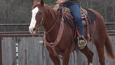 Did Hot Wheels flip his tail 🧐