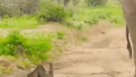 😂💪 Me Trying to Walk After Leg Day | FunFM