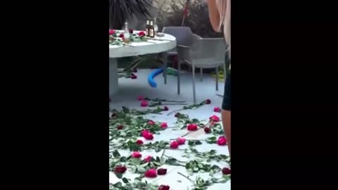 Luana Vjollca ditëlindja