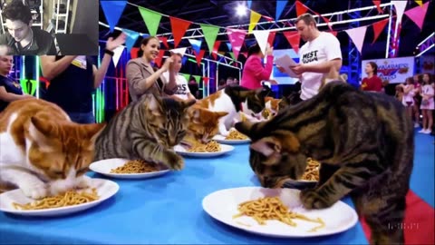 Outtake #1,188 Of The Cats Attempt The Vegan Pasta Eating Contest Fake Funny Parody Video