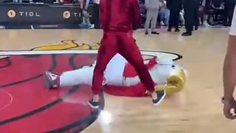 Conor McGregor KNOCKS OUT Miami Heat mascot