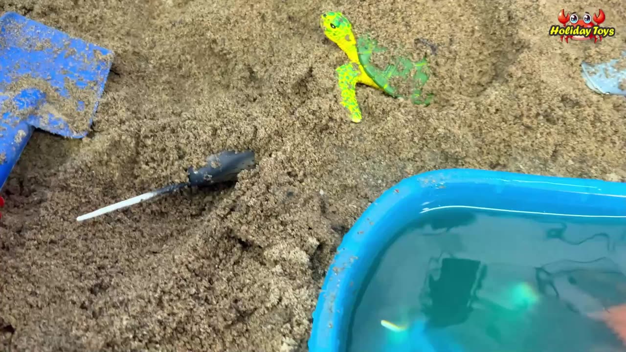 Burying Shrimps in the Sand so They Can not be Seen