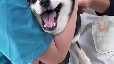 Try not to laugh! 😂