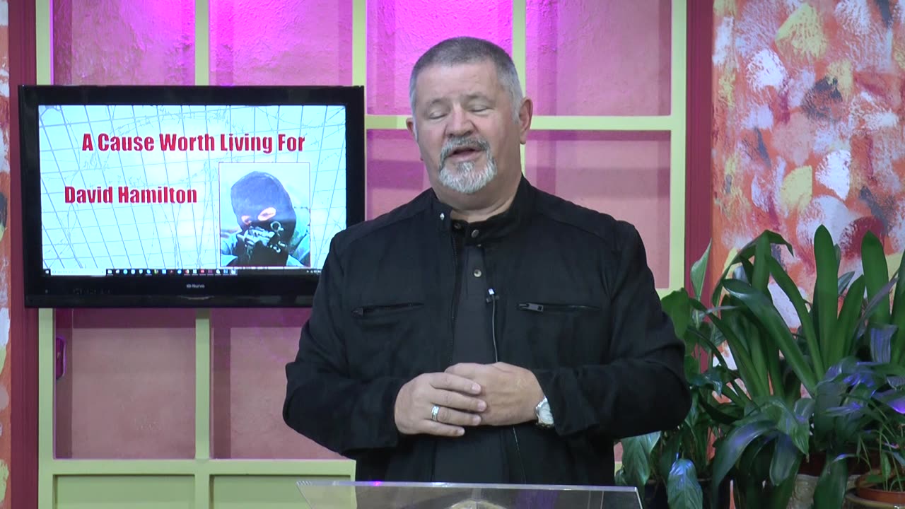 David Hamilton Testimony