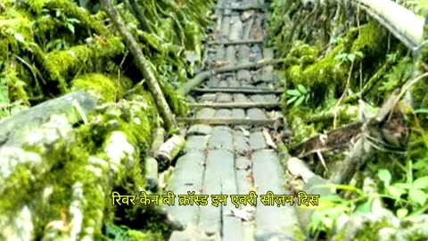 Meghalaya- India’s Beautiful State in Lap of Nature ।। Cherrapunji ।। Shillong ।। North East India