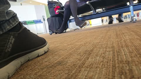 Operation Airhose- american airlines FA- spike heels and great legs