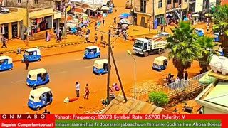 Oduu Ganama ONM-ABO Sadaasa 23-2025 itti dhiyaadhaa!