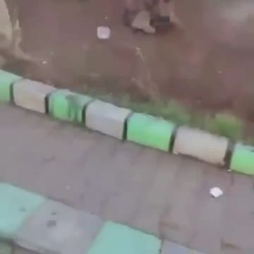 US citizen killed in Syria july 20 2025