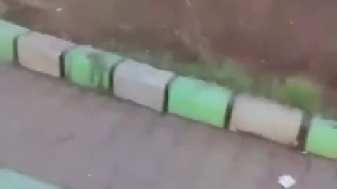 US citizen killed in Syria july 20 2025