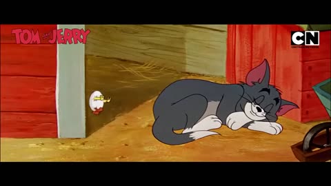 Tom & Jerry’s Fun Fest! 🤩 ｜ #tomandjerry ｜ Funny Cartoon video 😆 ｜ Compilation ｜ Non Stop ｜