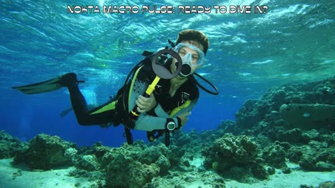 Nokta Macro Pulse Dive – 8" Underwater Scuba Detector, Pulse Induction, Waterproof & High Precision