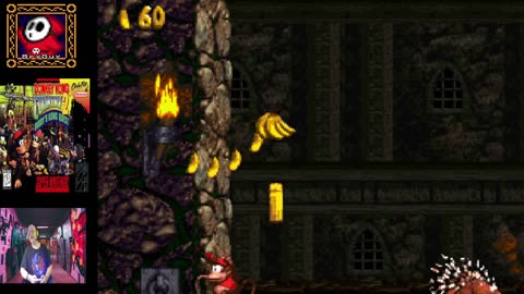 Donkey Kong Country 2 Diddy Kong's Quest Part 5