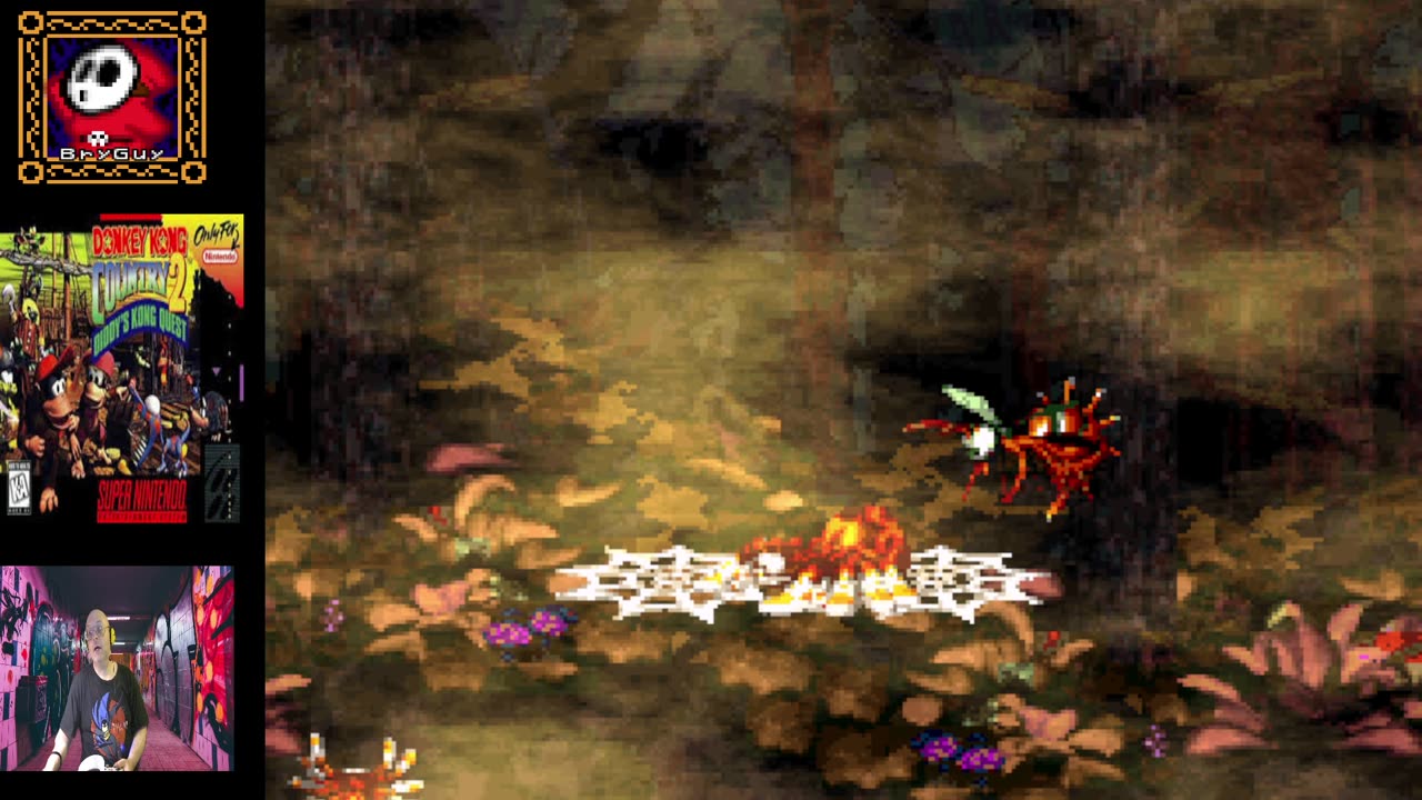Donkey Kong Country 2 Diddy Kong's Quest Part 5
