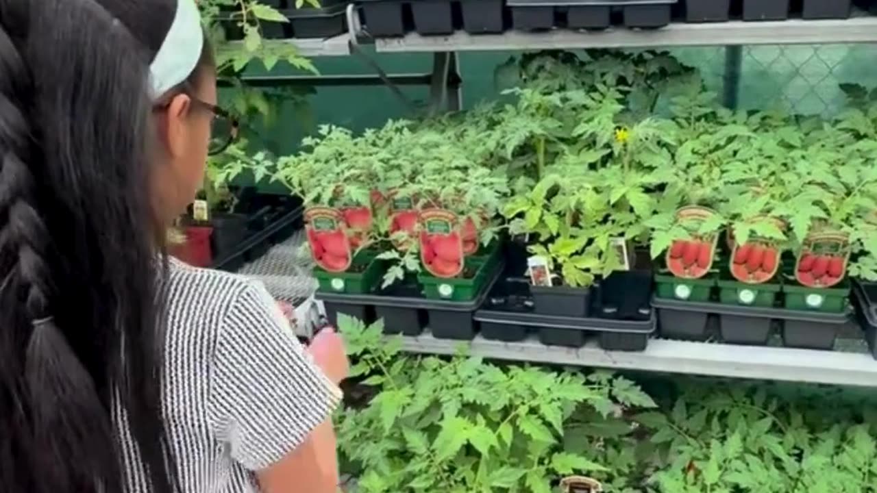 Today’s Homeschool Lesson: Real life skills at the nursery.
