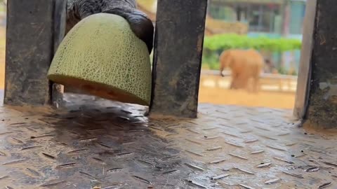 🤣: More! Moree!! Moreee!!! | FunFM
