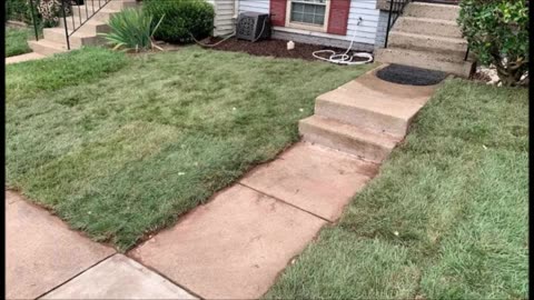 Gotta Guy Landscaping