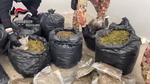 Reggio Calabria - Un intero stock di marijuana nascosto in casa nella Locride (15.03.25)