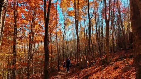 Best Time to Visit Georgia