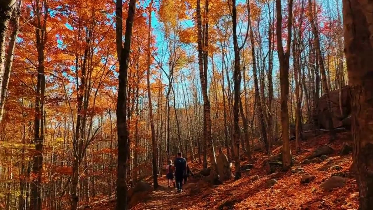 Best Time to Visit Georgia