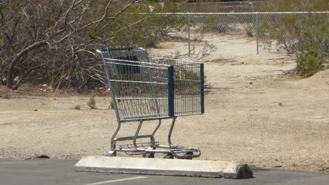 A wild shopping cart appears! GO bnkywuv!