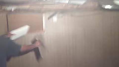 lets see what dave is doing, shea show