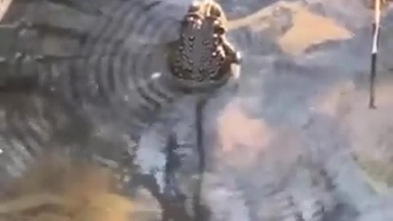 My..Goodness..What..Have..We...Here..❤️