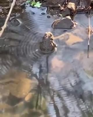 My..Goodness..What..Have..We...Here..❤️