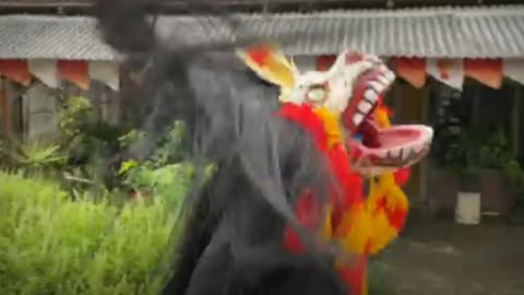 beautiful reog horse dance parade around the village part4