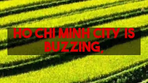 Essential Vietnam Destinations for 2025