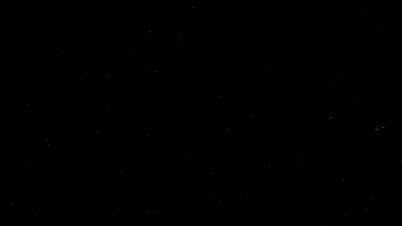 Trump’s New Bitcoin Move Could Change Everything | Blockchain Report