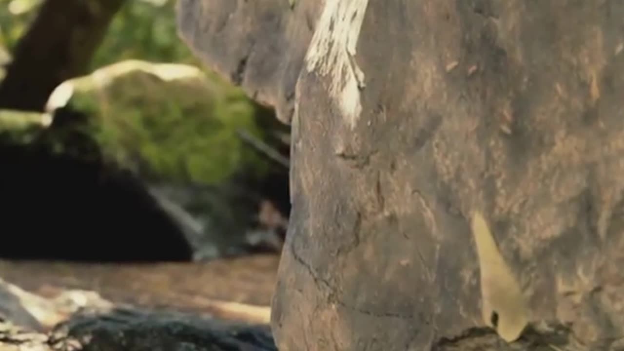 “Adaptarse a una sociedad enferma no es salud — Krishnamurti”