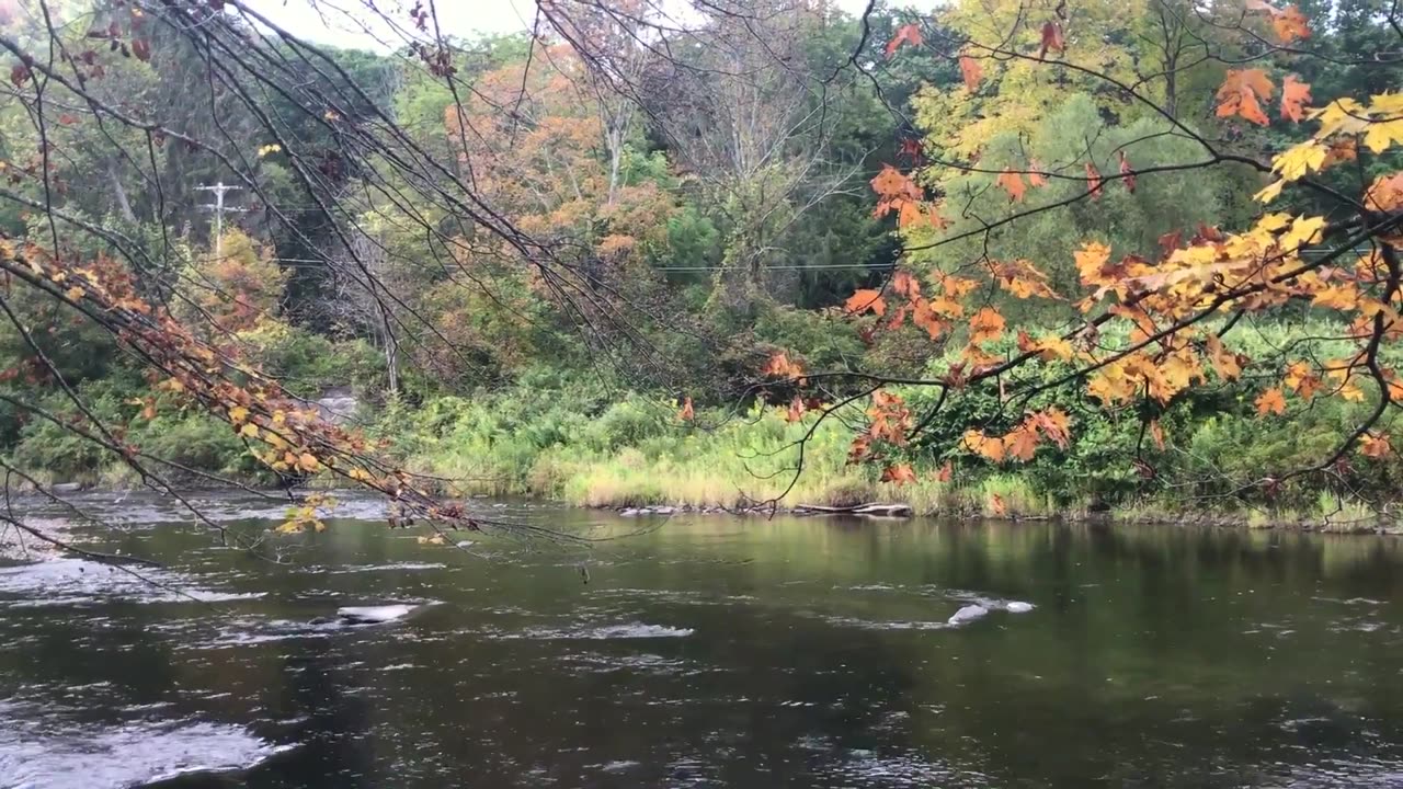 A view of a river ｜ Without Copyright ｜ creative commons｜ stock｜ creative commons videos.Ry24EowM0fs