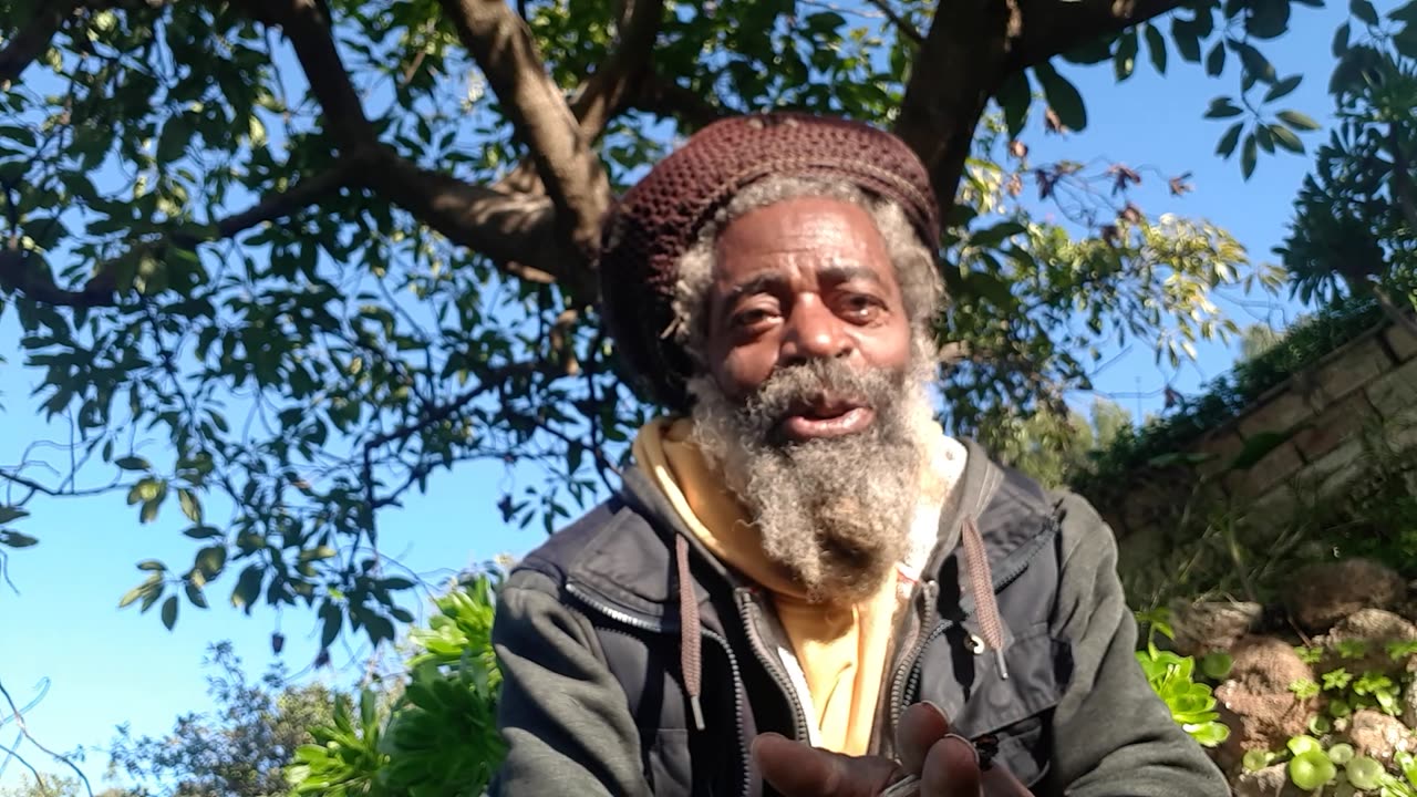 Cannabis medicine