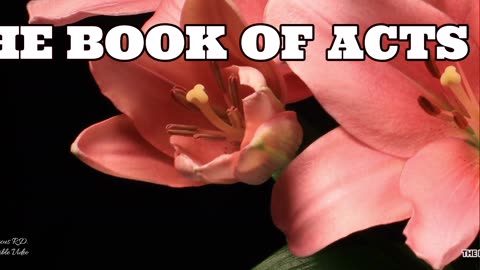 Book of Acts Chapter 13