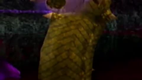 silly thing that happened while recording footage