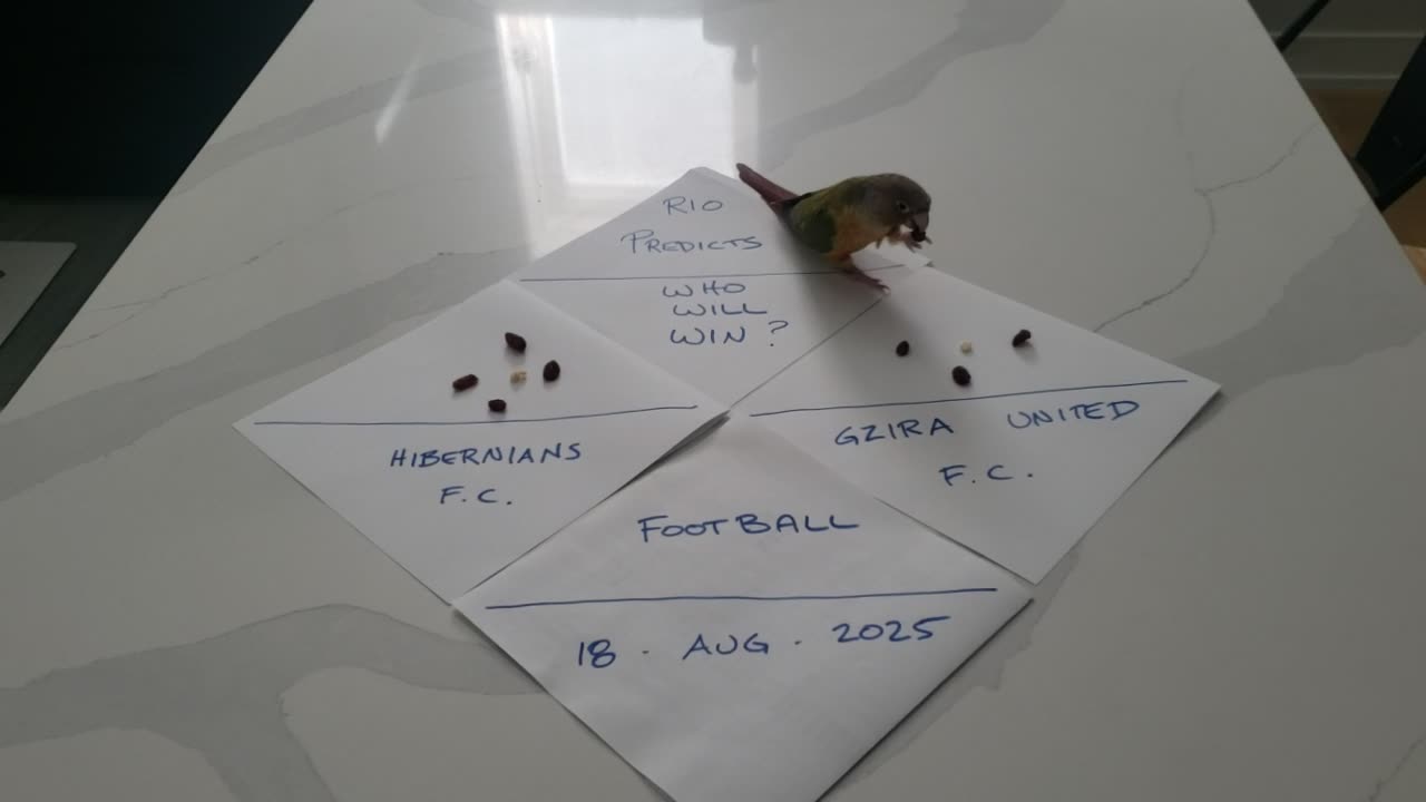 Rio Predicts Winner Between Hibernians and Gżira United 2025-08-18