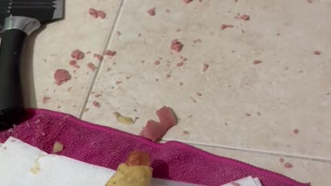 Unexpected Sausage Flauta Explosion