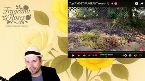 Reaction video to top 7 Most Fragrant Roses