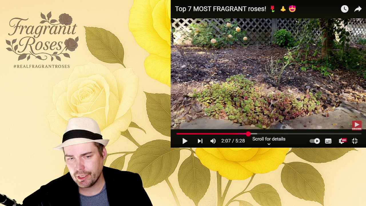 Reaction video to top 7 Most Fragrant Roses