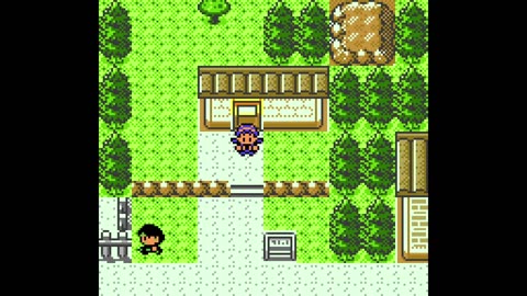 Pokemon Crystal Legacy - Rock Monotype, Episode 2: Rocky Road