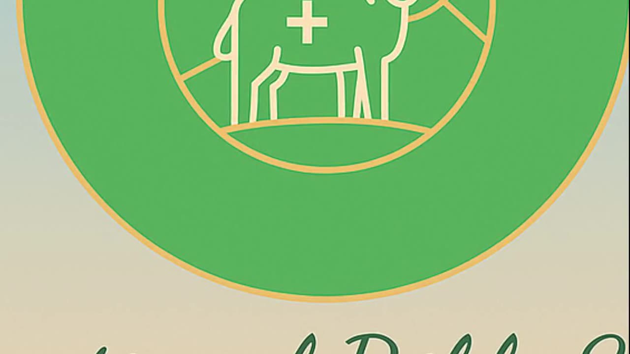 Morning Offering Prayer