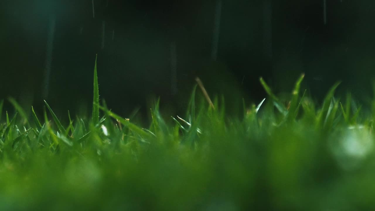 Garden Rain Skipping