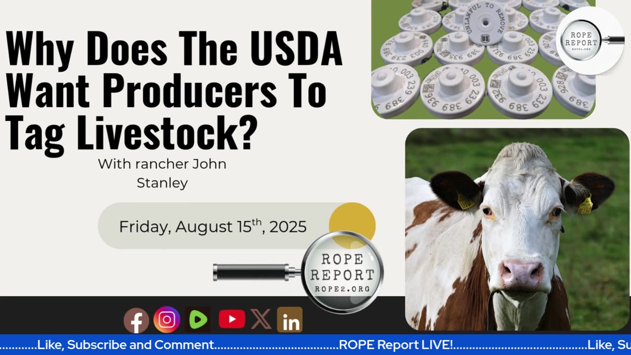 Why Does The USDA Want Producers To Tag Livestock?