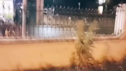 NOW - Migrant houses set on fire by locals in Ballymena, Northern Ireland